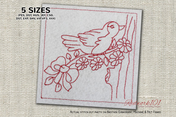 Cute Bird on Blossom Branch: A Holiday Review