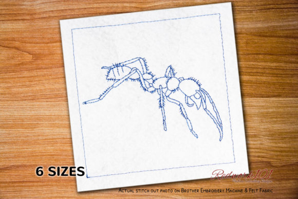 Reviewing Bullet Ant in the Jungle Redwork